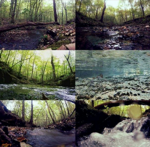 Six images of creeks around Lauderdale County